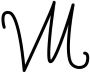 VM